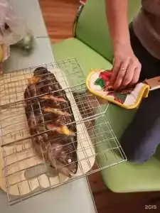 Дом Капитана - 38