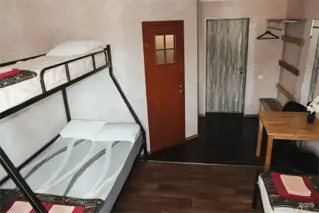 Хвойный - 24