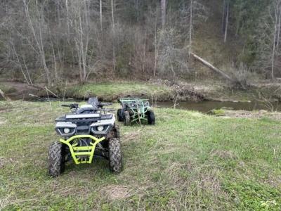 PavLove Village - 118