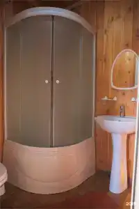 Сосновый бор - 140