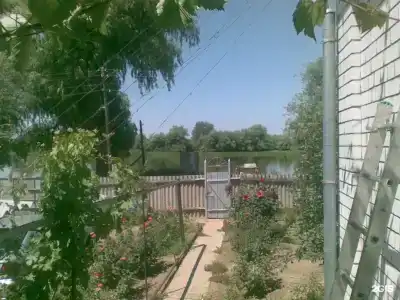 Волны Кизани - 1