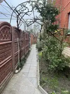 Гортензия - 3
