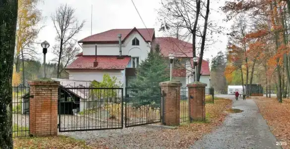 Лесная - 2