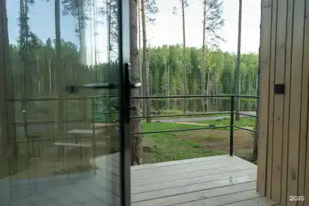 Пруды и сосны - 19