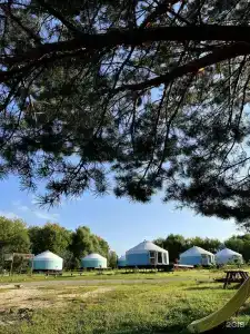 Yurt Resort - 6