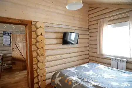 Дикий Гусь - 20