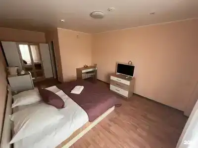Новый лес - 51