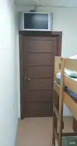 Тайга Нск - 58