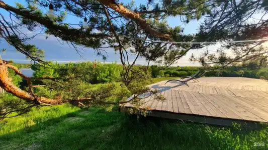 Гнездо - 26