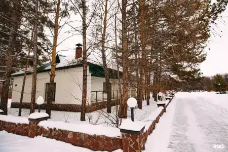 Мечта - 43