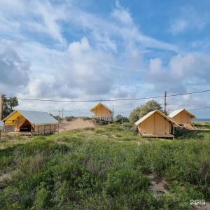 Beta глэмпинг - 16