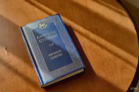Онегин - 95