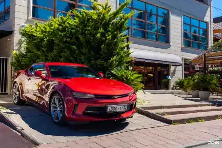 Риффос - 19