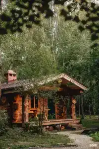 Дубки - 36
