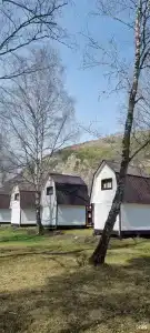 Сосновый берег - 5