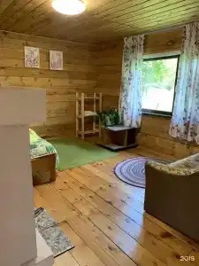 Зеленый домик - 2
