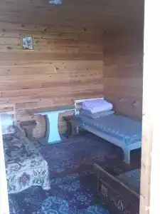 Станица - 50