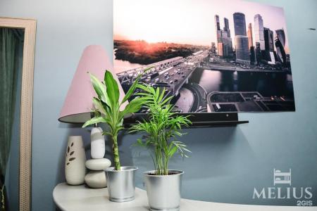 Мелиус Трофимова - 20