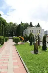 Смена - 19