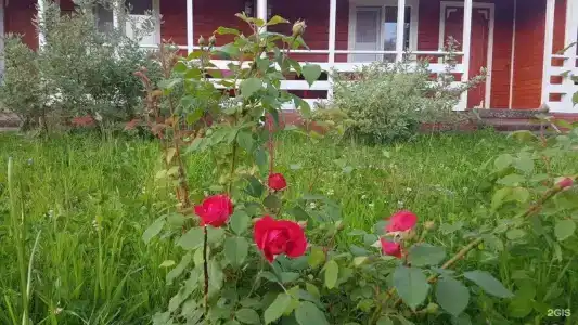 Креницы - 78
