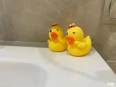 Жемчужина Сибири - 69