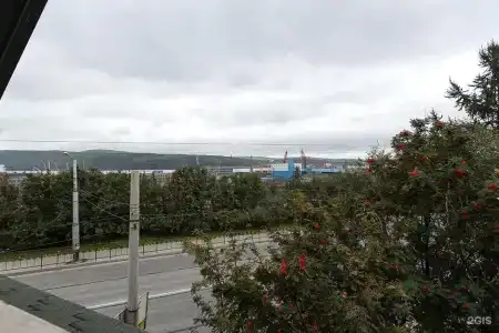 Гларус - 172