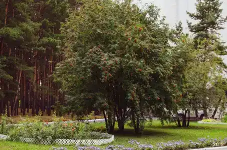 Гостиничный комплекс Иртыш - 107