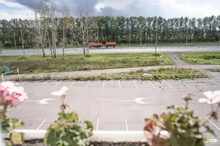 Зеленый - 42