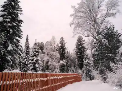 Куатанг - 19