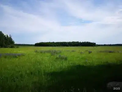 Лосиное - 15