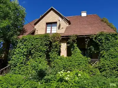 Dream Village Oksino - 19