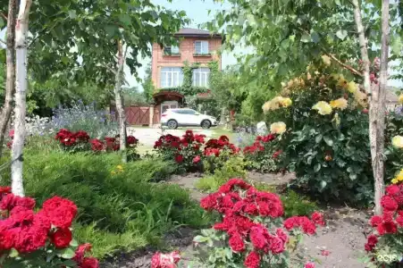 У Друзей - 21
