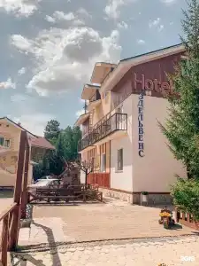 Эдельвейс - 29