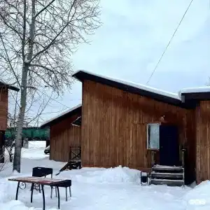 Займище - 38