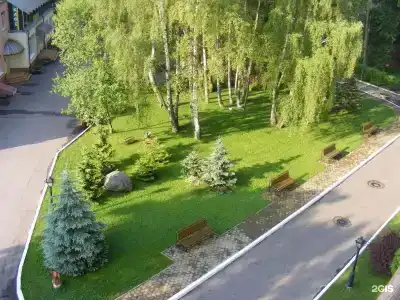 AZIMUT Здоровье Янтарь - 54