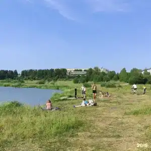 Вигор - 13