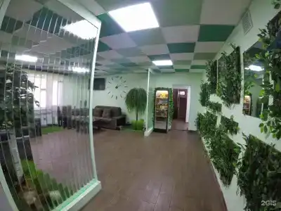Лесотель - 20