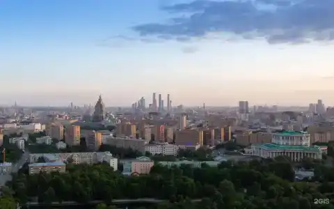 Radisson Blu Олимпийский - 22