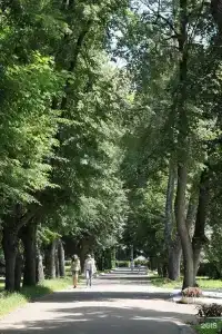 Санаторий им Дзержинского - 31