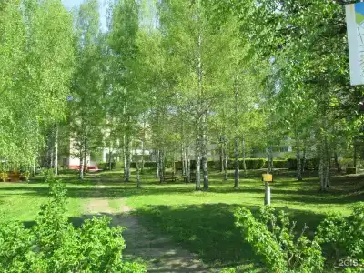 Углич - 71