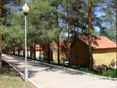 Авангард - 31