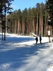Путешественник - 25