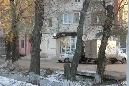 Коралл - 48
