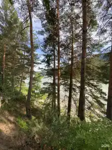 Чемал - 25