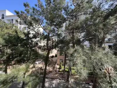 Геленджик - 29
