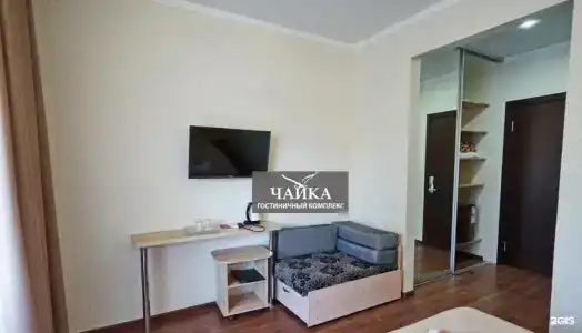 Агава - 24