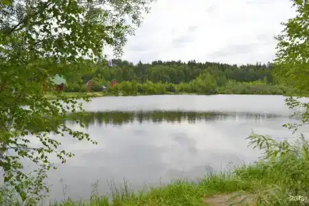 Литвиново - 36