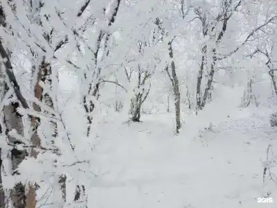 Териберка Тур - 78