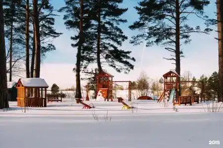 Ефимов бор - 28