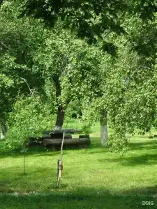 Дубки - 127